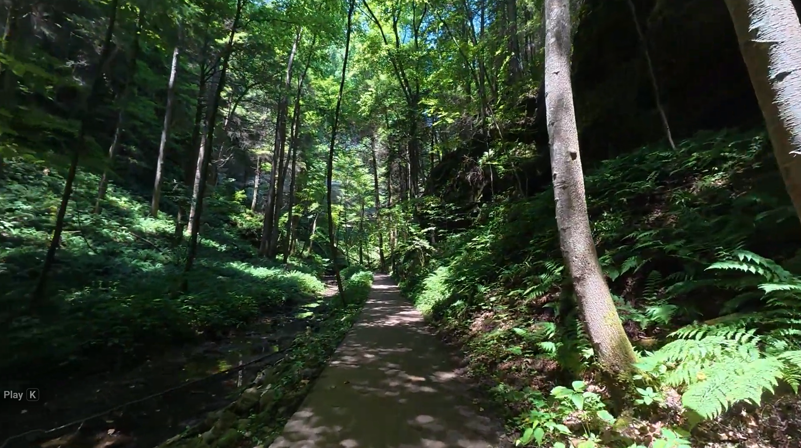 A shaded path through Conkles Hollow beneath tall trees and sandstone cliff faces